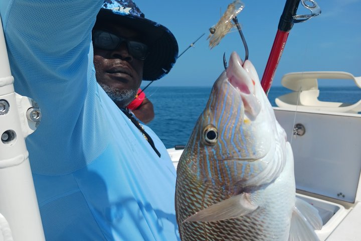 Private 4 hr Fishing Tour with Master Captain Bill Phillips - Photo 1 of 14